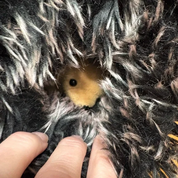 The North Face Black Winter Boots with Fur Trim - Picture 5 of 14